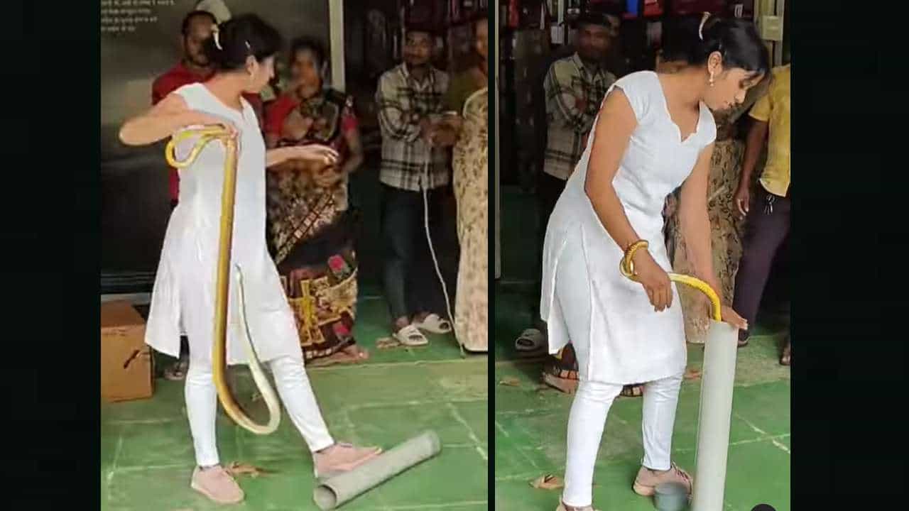 Viral Video: ಬರೀಗೈಯಿಂದ ಹಾವು ಹಿಡಿಯುತ್ತಿರುವ ಯುವತಿಯ ವಿಡಿಯೋ ವೈರಲ್ Viral Video: ಬರೀಗೈಯಿಂದ ಹಾವು ಹಿಡಿಯುತ್ತಿರುವ ಯುವತಿಯ ವಿಡಿಯೋ ವೈರಲ್