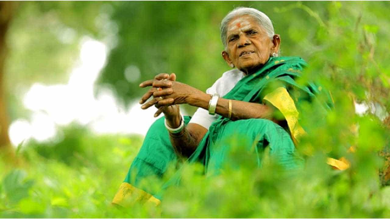 ಚಿಕಿತ್ಸೆ ಪಡೆದು ಆಸ್ಪತ್ರೆಯಿಂದ ಮನೆಗೆ ಮರಳಿದ ಸಾಲುಮರದ ತಿಮ್ಮಕ್ಕ, ಇಬ್ಬರು ನರ್ಸ್‌ಗಳ ನಿಯೋಜನೆ
