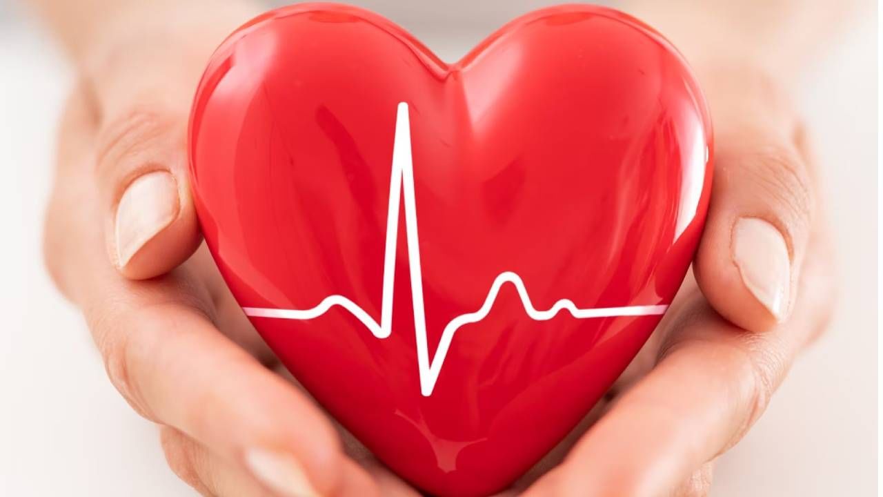 World Heart Day 2023: ಮಾಹಿತಿಯುಕ್ತ ಜೀವನ ಮತ್ತು ಕೊಲೆಸ್ಟ್ರಾಲ್ ನಿಯಂತ್ರಣಕ್ಕೆ ಕ್ರಮ ಕೈಗೊಳ್ಳಲು ನಿಮ್ಮ ಹೃದಯದ ಕರೆ
