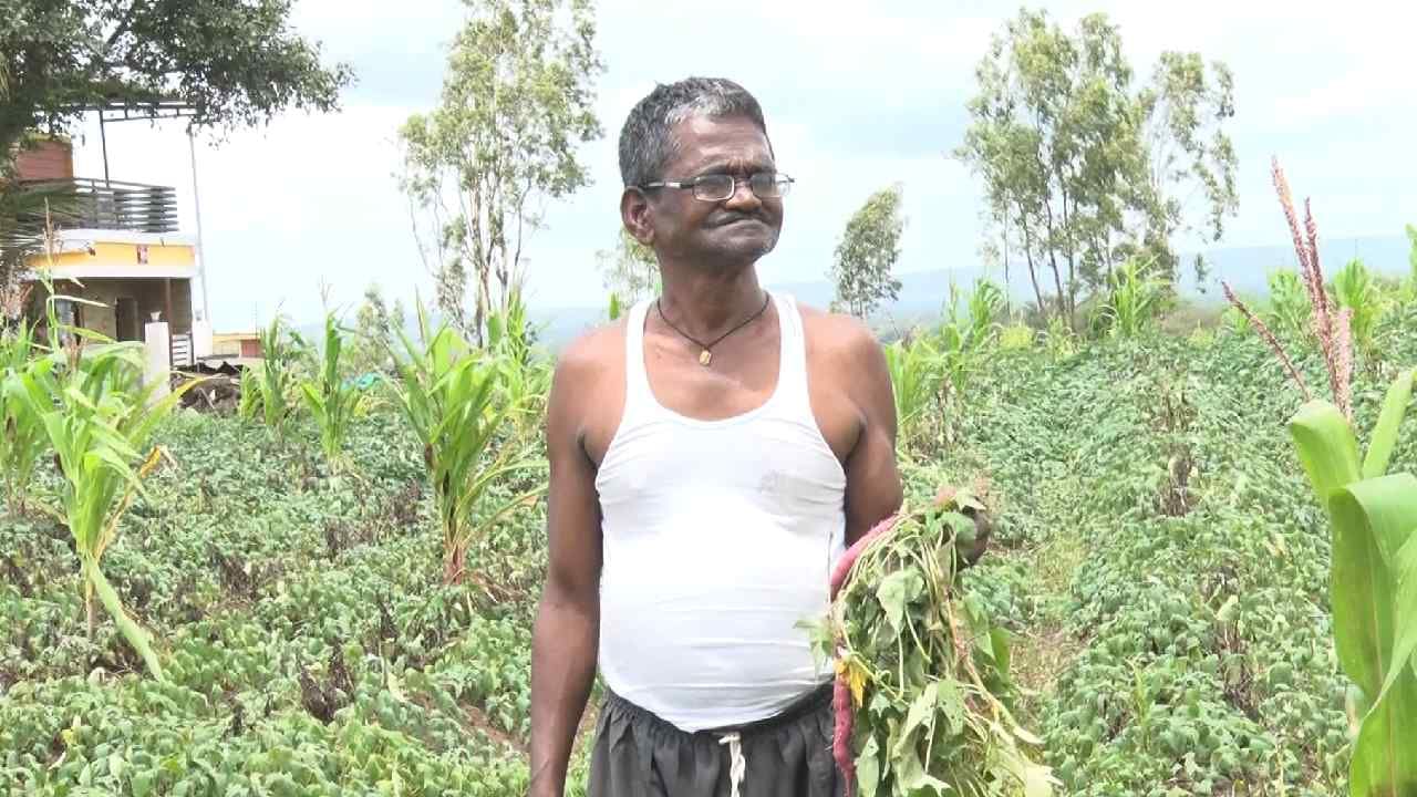 ಬೆಳಗಾವಿ ಜಿಲ್ಲೆಯಲ್ಲಿ ಬರದ ಪರಿಸ್ಥಿತಿ: ರೈತನ ಪಾಲಿಗೆ ಕಹಿಯಾದ ಸಿಹಿ ಗೆಣಸು