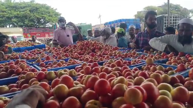 ಪಾತಾಳಕ್ಕೆ ಕುಸಿದ ಟೊಮೆಟೊ ದರ; ಕಂಗಾಲಾದ ರೈತರು, ಕಟಾವು ಮಾಡಲೂ ಹಿಂದೇಟು