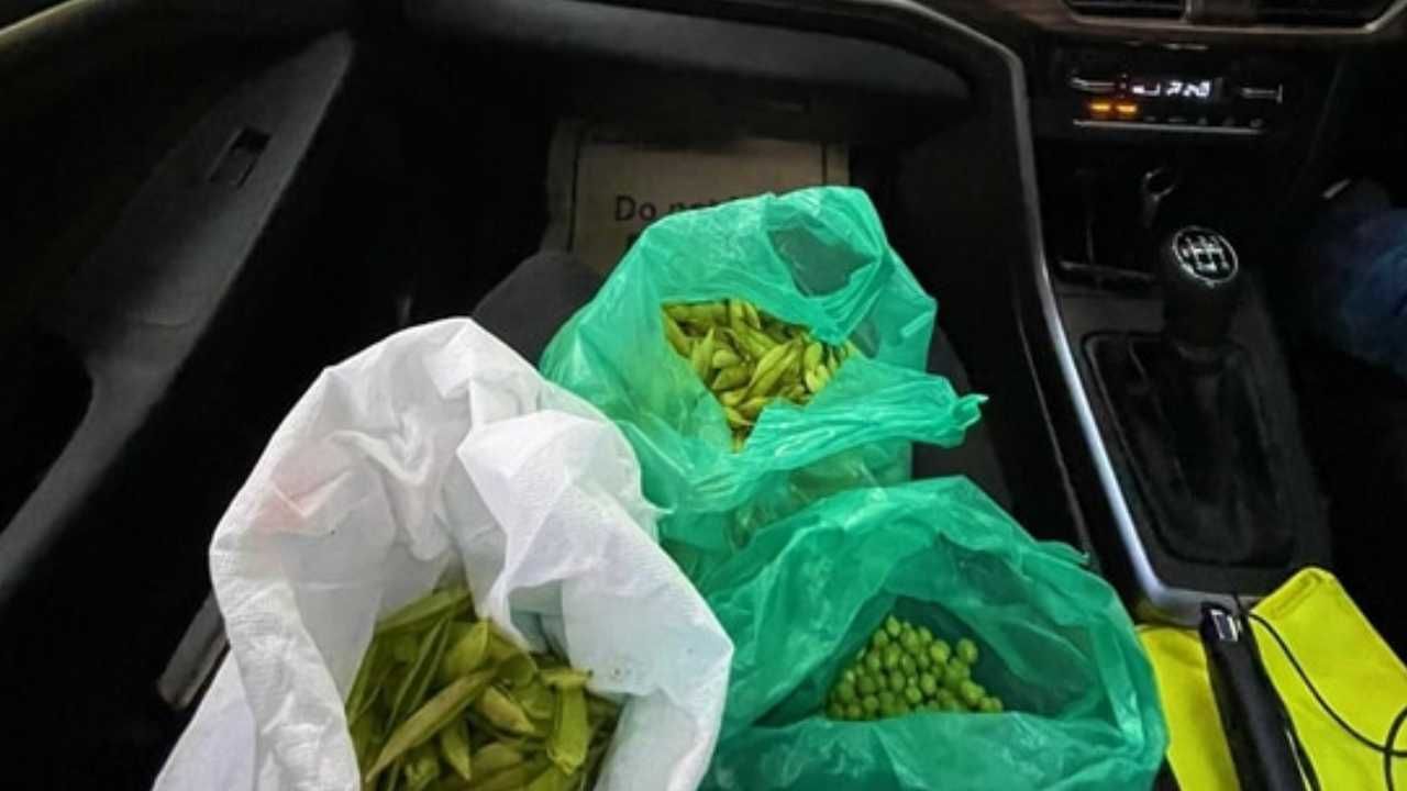 ಬೆಂಗಳೂರಿನ ಟ್ರಾಫಿಕ್ನಲ್ಲಿ ಸಿಲುಕಿ ತರಕಾರಿ ಸಿಪ್ಪೆ ಸುಲಿದ ಮಹಿಳೆ: ನೆಟ್ಟಿಗರು ಏನಂದ್ರು ನೋಡಿ ಬೆಂಗಳೂರಿನ ಟ್ರಾಫಿಕ್ನಲ್ಲಿ ಸಿಲುಕಿ ತರಕಾರಿ ಸಿಪ್ಪೆ ಸುಲಿದ ಮಹಿಳೆ: ನೆಟ್ಟಿಗರು ಏನಂದ್ರು ನೋಡಿ