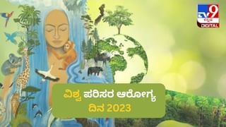 Eggs And Cholesterol: ಅತಿಯಾದ ಮೊಟ್ಟೆ ಸೇವನೆಯು ಒಳ್ಳೆಯದಲ್ಲ! ಆರೋಗ್ಯದ ಮೇಲೆ ಅಡ್ಡ ಪರಿಣಾಮ