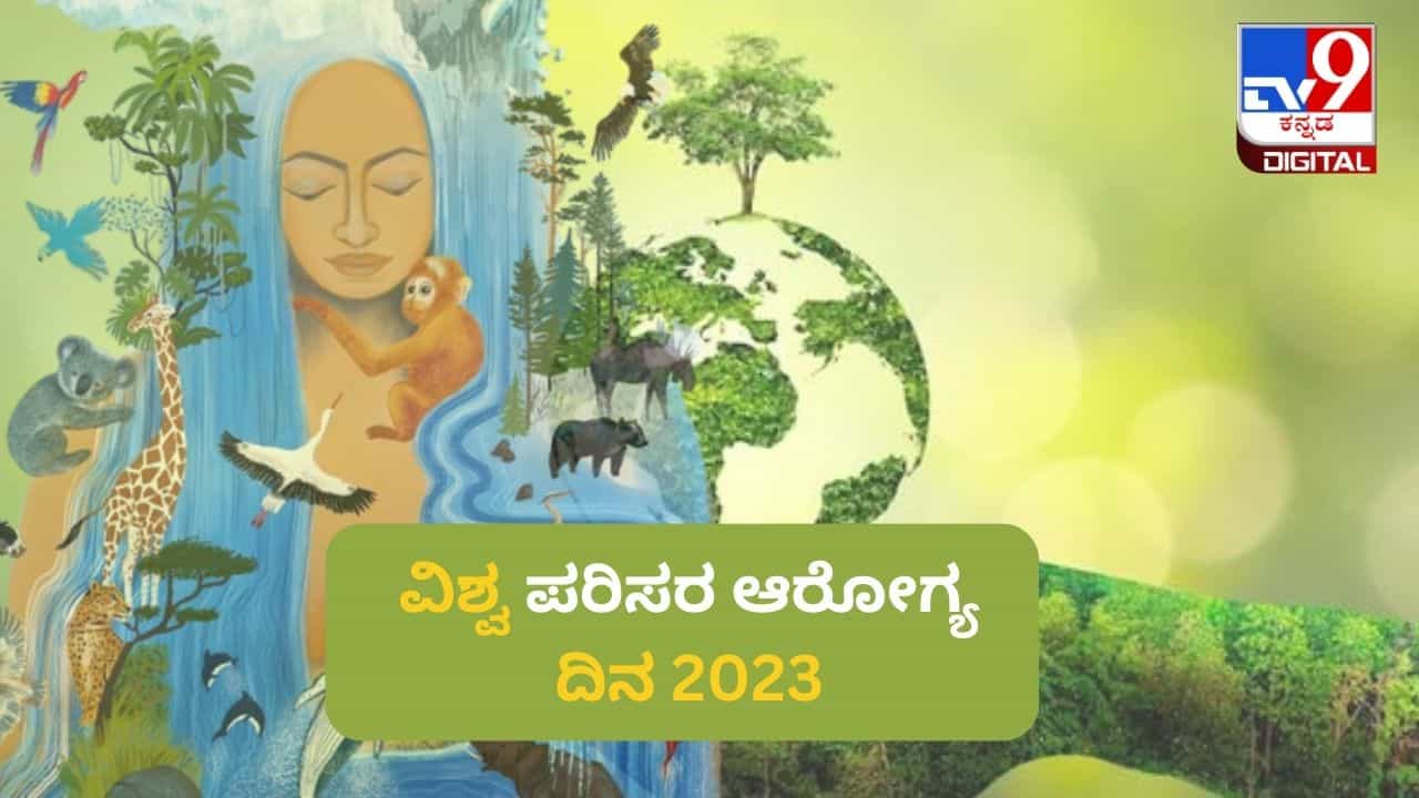 World Environment Health Day: ವಿಶ್ವ ಪರಿಸರ ಆರೋಗ್ಯ ದಿನವನ್ನು ಏಕೆ ಆಚರಿಸಲಾಗುತ್ತದೆ? ಈ ದಿನದ ಇತಿಹಾಸ ಮತ್ತು ಪ್ರಾಮುಖ್ಯತೆ ಇಲ್ಲಿದೆ World Environment Health Day: ವಿಶ್ವ ಪರಿಸರ ಆರೋಗ್ಯ ದಿನವನ್ನು ಏಕೆ ಆಚರಿಸಲಾಗುತ್ತದೆ? ಈ ದಿನದ ಇತಿಹಾಸ ಮತ್ತು ಪ್ರಾಮುಖ್ಯತೆ ಇಲ್ಲಿದೆ
