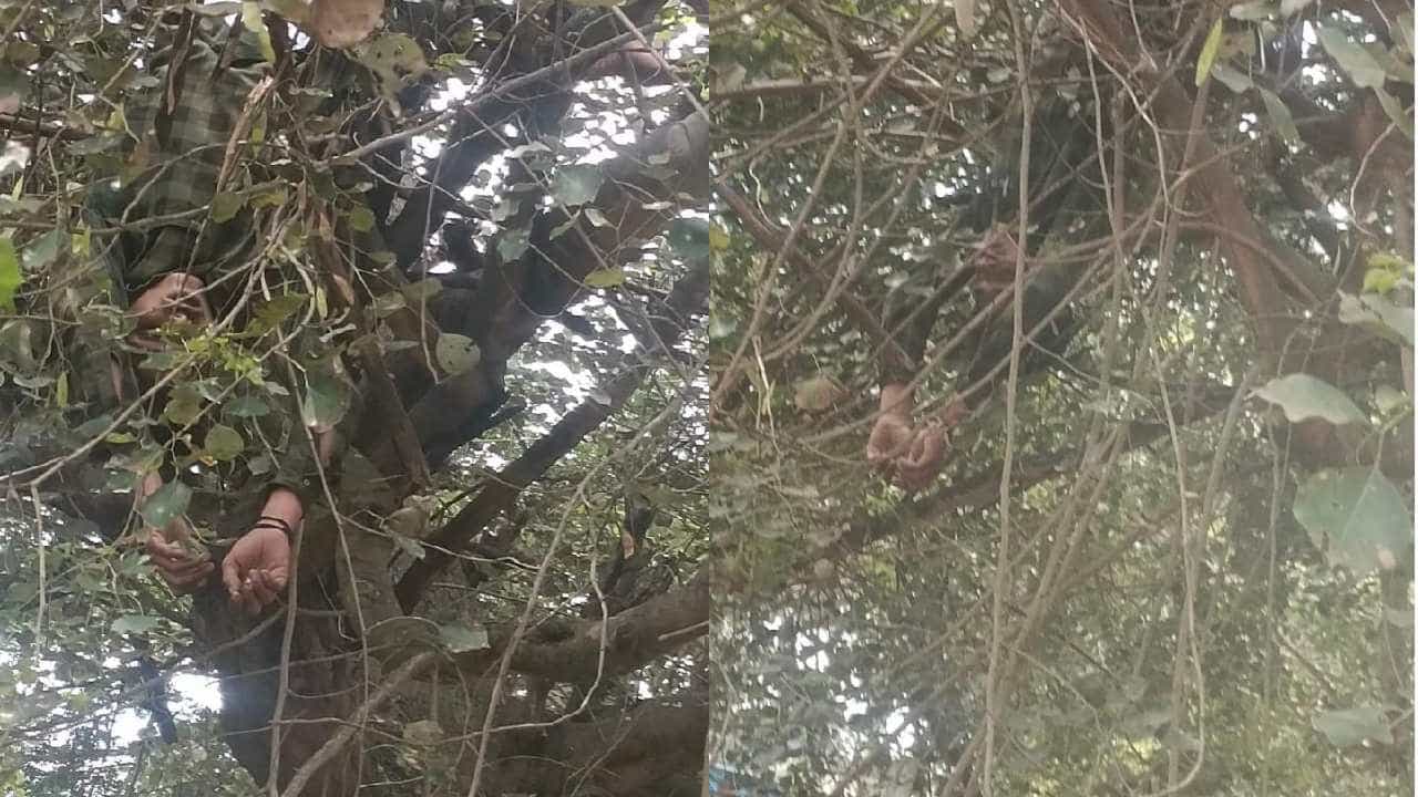 ದೊಡ್ಡಬಳ್ಳಾಪುರ: ಅಯ್ಯೋ ವಿಧಿಯೇ! ಬೆಕ್ಕು ರಕ್ಷಿಸಲು ಹೋಗಿ ಪ್ರಾಣ ತೆತ್ತ ಯುವಕ ದೊಡ್ಡಬಳ್ಳಾಪುರ: ಅಯ್ಯೋ ವಿಧಿಯೇ! ಬೆಕ್ಕು ರಕ್ಷಿಸಲು ಹೋಗಿ ಪ್ರಾಣ ತೆತ್ತ ಯುವಕ