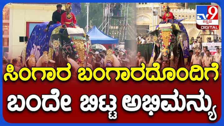 Mysore Dasara: ಅಂಬಾರಿ ಹೊರಲು ಅರಮನೆಗೆ ಆಗಮಿಸಿದ ಅಭಿಮನ್ಯುನ ನಡಿಗೆ ಗತ್ತು ಒಮ್ಮೆ ನೋಡಿ, ಎಲ್ಲರ ದೃಷ್ಟಿ ತನ್ನ ಮೇಲಿದೆ ಅಂತ ಅವನಿಗೆ ಗೊತ್ತು! Mysore Dasara: ಅಂಬಾರಿ ಹೊರಲು ಅರಮನೆಗೆ ಆಗಮಿಸಿದ ಅಭಿಮನ್ಯುನ ನಡಿಗೆ ಗತ್ತು ಒಮ್ಮೆ ನೋಡಿ, ಎಲ್ಲರ ದೃಷ್ಟಿ ತನ್ನ ಮೇಲಿದೆ ಅಂತ ಅವನಿಗೆ ಗೊತ್ತು!