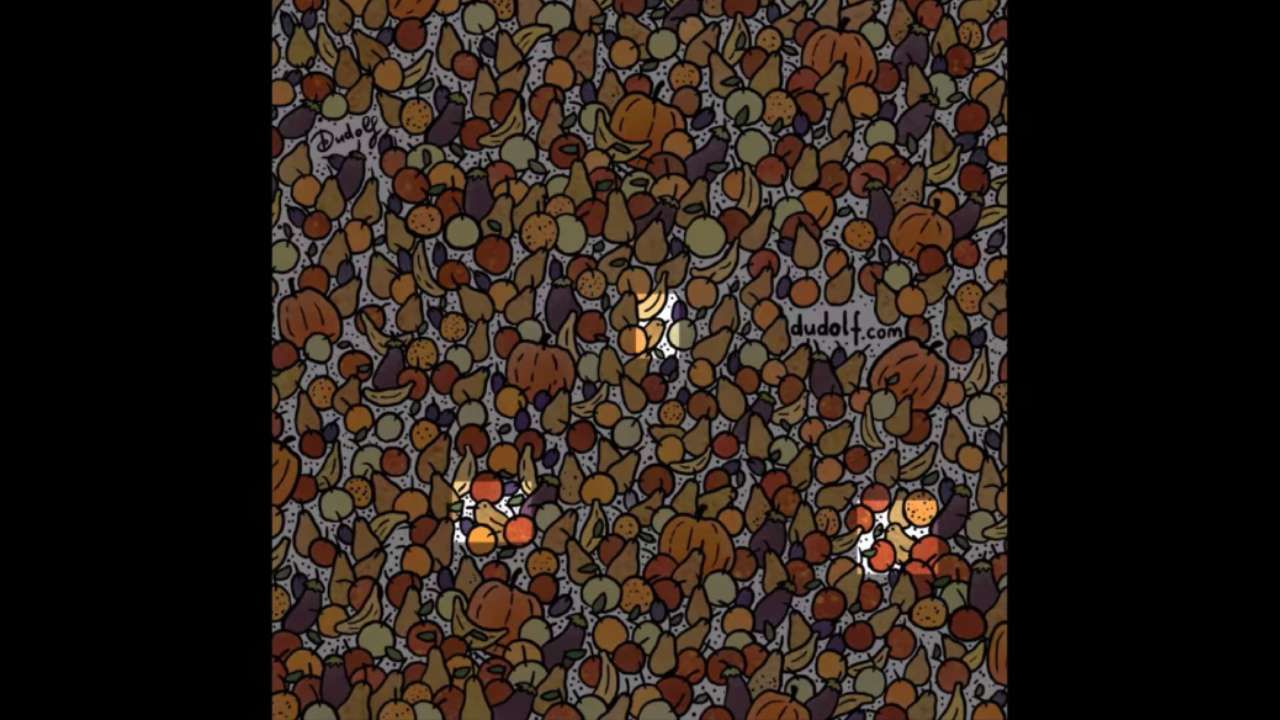 Viral Brain Teaser Find the three birds in fruits yard