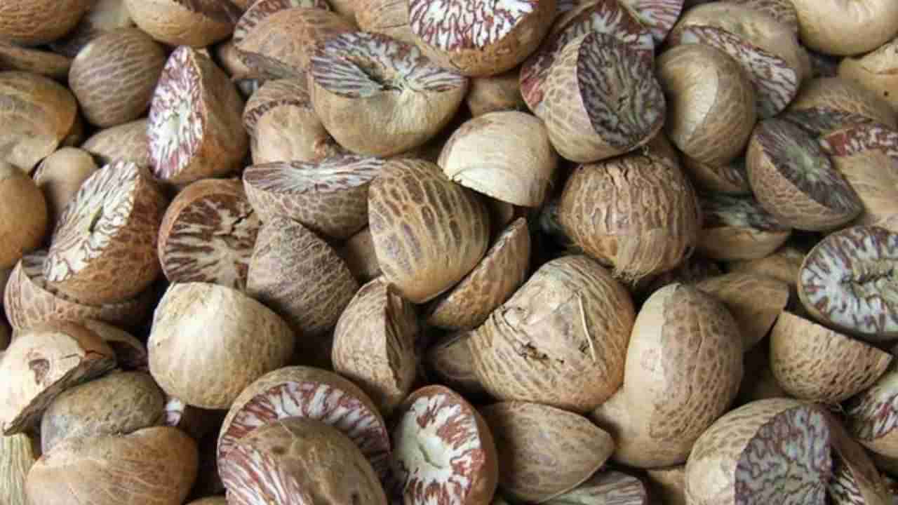 Arecanut Price 06 Oct: ಇಂದಿನ ಅಡಿಕೆ ಧಾರಣೆ; ಪ್ರಮುಖ ಮಾರುಕಟ್ಟೆಯಲ್ಲಿ ಅಡಿಕೆ, ಕೋಕೋ ದರ ಹೀಗಿದೆ