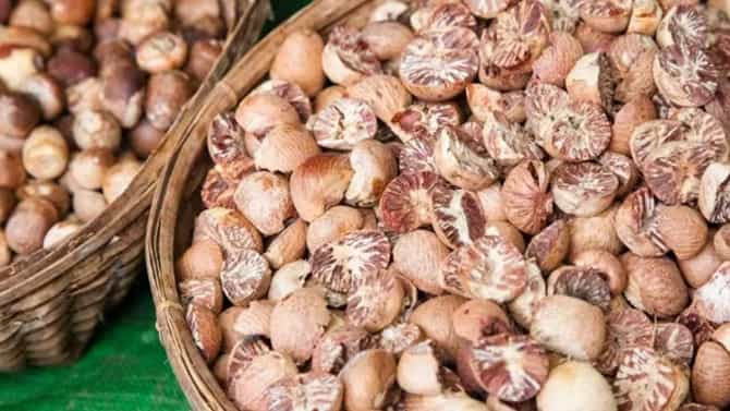 Arecanut Price: ರಾಜ್ಯದ ಪ್ರಮುಖ ಮಾರುಕಟ್ಟೆಯಲ್ಲಿ ಇಂದಿನ ಅಡಿಕೆ ಧಾರಣೆ