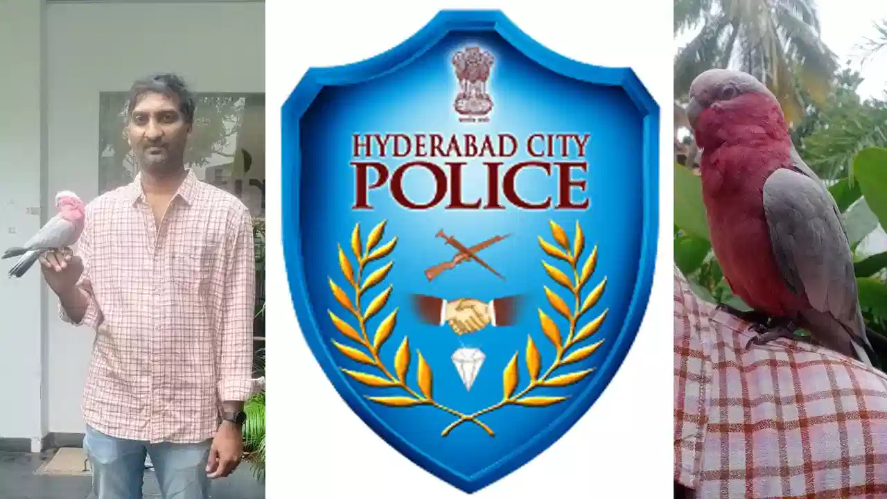 parrot Missing: ನಮ್ಮ ದುಬಾರಿ ಗಿಳಿ ಕಾಣೆಯಾಗಿದೆ ಎಂದು ಪೊಲೀಸ್ ಠಾಣೆಗೆ ದೂರು.. ಆದರೆ ಅಷ್ಟರಲ್ಲಿ ಏನಾಗಿದೆ ಗೊತ್ತಾ?