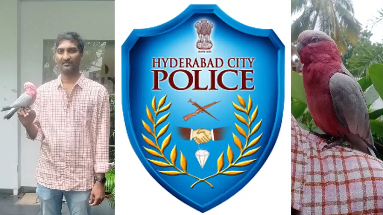 parrot Missing: ನಮ್ಮ ದುಬಾರಿ ಗಿಳಿ ಕಾಣೆಯಾಗಿದೆ ಎಂದು ಪೊಲೀಸ್ ಠಾಣೆಗೆ ದೂರು.. ಆದರೆ ಅಷ್ಟರಲ್ಲಿ ಏನಾಗಿದೆ ಗೊತ್ತಾ? parrot Missing: ನಮ್ಮ ದುಬಾರಿ ಗಿಳಿ ಕಾಣೆಯಾಗಿದೆ ಎಂದು ಪೊಲೀಸ್ ಠಾಣೆಗೆ ದೂರು.. ಆದರೆ ಅಷ್ಟರಲ್ಲಿ ಏನಾಗಿದೆ ಗೊತ್ತಾ?