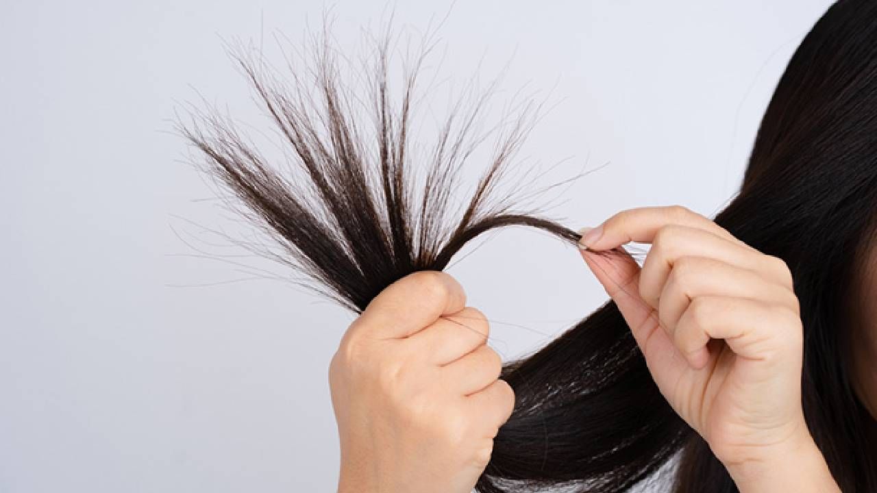 Healthy Hair: ಒಂದು ಕಪ್ ಹಾಲಿನಿಂದ ನಿಮ್ಮ ಕೂದಲಿನ ಎಲ್ಲಾ ಸಮಸ್ಯೆಗಳಿಗೆ ಗುಡ್​​ ಬೈ ಹೇಳಿ