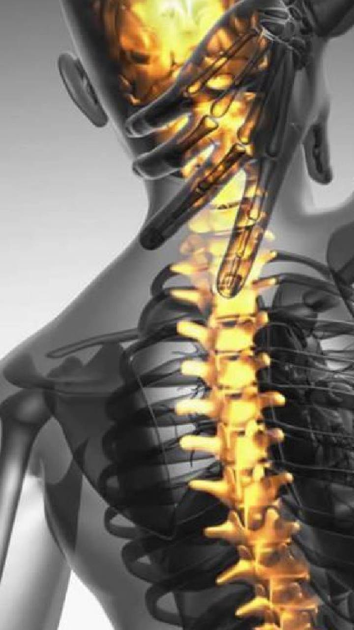 Bone Health (2)