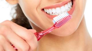 Guava Leaves Benefits: ಪೇರಳೆ ಮಾತ್ರವಲ್ಲದೆ ಅದರ ಎಲೆಗಳೂ ಆರೋಗ್ಯಕ್ಕೆ ಒಳ್ಳೆಯದು