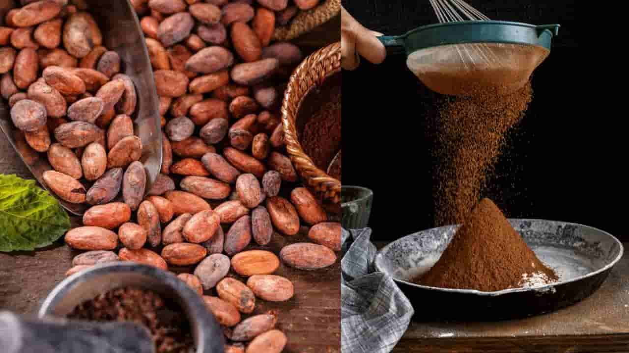 ದೈನಂದಿನ ಆಹಾರ ಕ್ರಮದಲ್ಲಿ ಕೋಕೋ ಪೌಡರ್ ಸೇರಿಸಿ, ಆರೋಗ್ಯ ಪ್ರಯೋಜನ ಪಡೆದುಕೊಳ್ಳಿ
