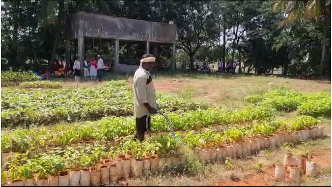 ಕಂದಾಯ ಇಲಾಖೆಯ ಯಡವಟ್ಟು: ಯುವಕನ ಅಂತ್ಯಸಂಸ್ಕಾರಕ್ಕೆ ಪರದಾಟ ಕಂದಾಯ ಇಲಾಖೆಯ ಯಡವಟ್ಟು: ಯುವಕನ ಅಂತ್ಯಸಂಸ್ಕಾರಕ್ಕೆ ಪರದಾಟ