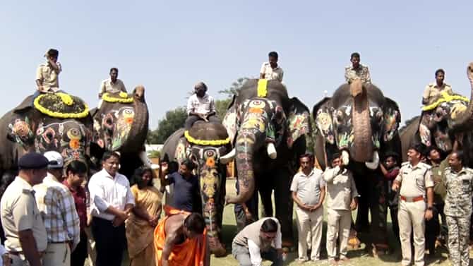 ದಸರಾ ಮುಗಿಸಿ ಕಾಡಿಗೆ ಹೊರಟ ಗಜಪಡೆ: ಮಾವುತರು ಕಾವಾಡಿಗಳಿಗೆ ಹೆಚ್ಚು ಗೌರವ ಧನ