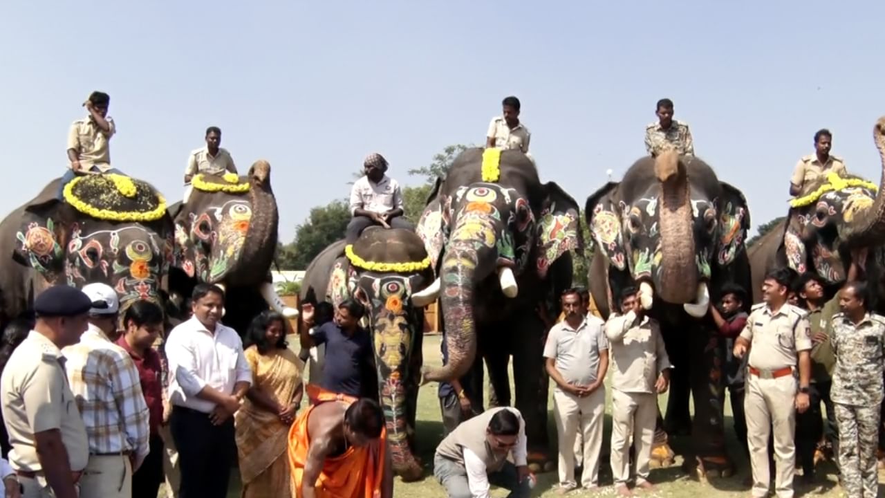 ಮೈಸೂರು: ದಸರಾ ಡ್ಯೂಟಿ ಮುಗಿಸಿ ಕಾಡಿಗೆ ಹೊರಟ ಗಜಪಡೆ, ಮಾವುತರು ಕಾವಾಡಿಗಳಿಗೆ ಹೆಚ್ಚು ಗೌರವ ಧನ ನೀಡಿ ಬಿಳ್ಕೊಡುಗೆ