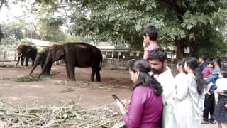 ಮೈಸೂರು: ಬಹಿರ್ದೆಸೆಗೆ ತೆರಳಿದ್ದ ವೇಳೆ ಆನೆ ದಾಳಿ, ವ್ಯಕ್ತಿ ಸ್ಥಳದಲ್ಲೇ ಸಾವು