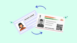 ದೀಪಾವಳಿ, ದಸರಾ ಹಬ್ಬಗಳ ಆಚರಣೆಗೆ ದಿನಗಣನೆ; ಹೊಲಗಳಲ್ಲಿ ಕಂಗೊಳಿಸುತ್ತಿರುವ ಕಲರ್​ಫುಲ್​  ಹೂವುಗಳು, ಇಲ್ಲಿದೆ ಫೋಟೋಸ್​