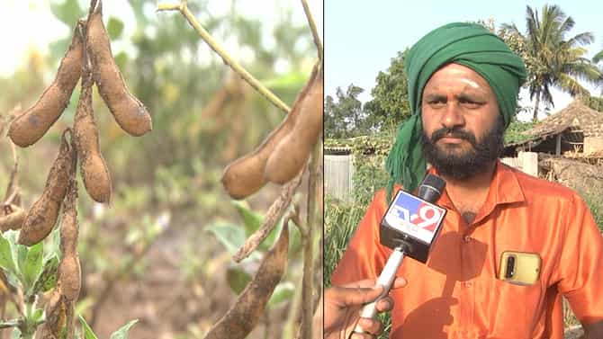 ಬರಗಾಲಕ್ಕೆ ತತ್ತರಿಸಿದ್ದ ರೈತನಿಗೆ ಬೆಲೆ ಕುಸಿತದ ಶಾಕ್; ಅನ್ನದಾತ ಕಣ್ಣೀರು