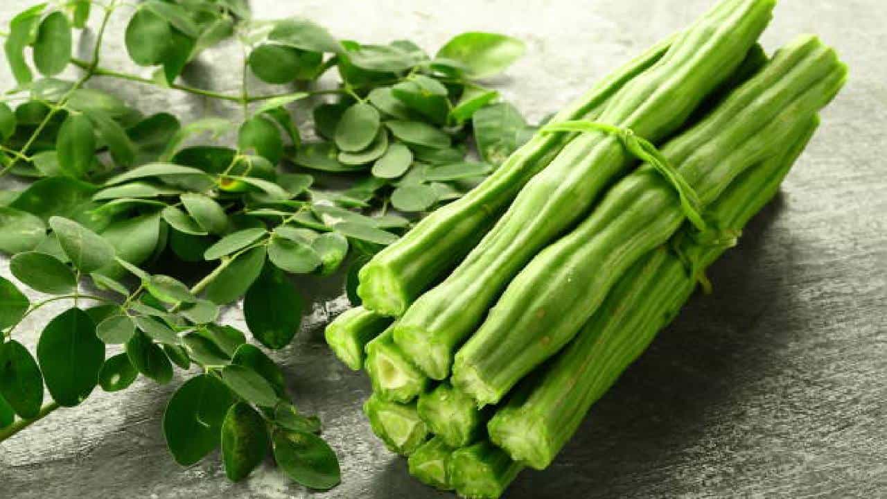 Drumstick Benefits: ಮಧುಮೇಹ ಸಮಸ್ಯೆಗೆ ನುಗ್ಗೆ ಸೊಪ್ಪಿನಲ್ಲಿದೆ ಪರಿಹಾರ Drumstick Benefits: ಮಧುಮೇಹ ಸಮಸ್ಯೆಗೆ ನುಗ್ಗೆ ಸೊಪ್ಪಿನಲ್ಲಿದೆ ಪರಿಹಾರ