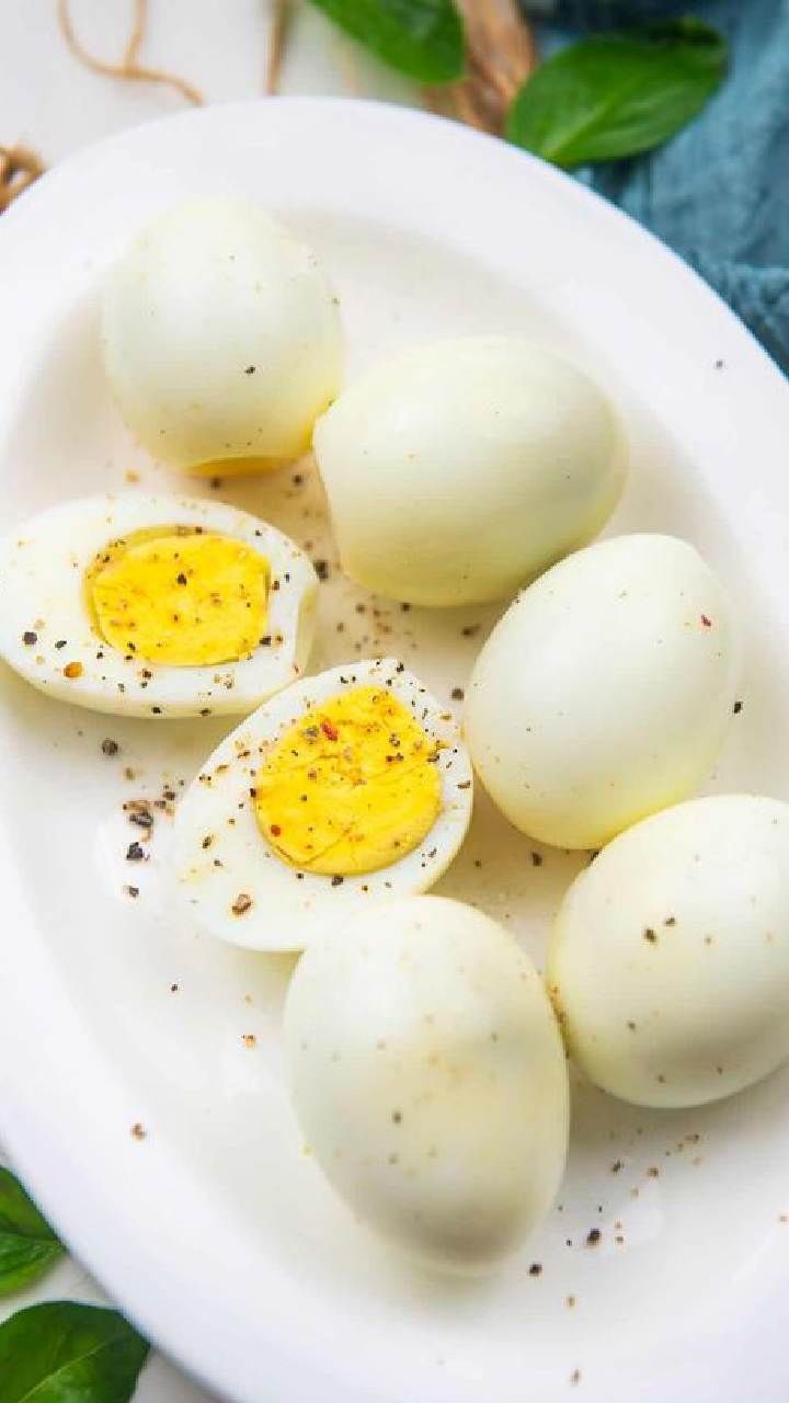 egg (1)
