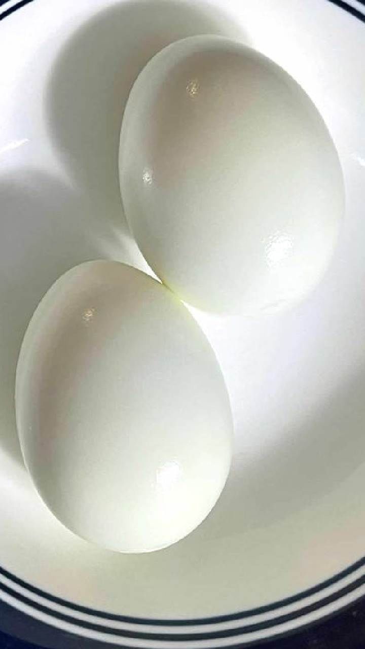 egg (2)