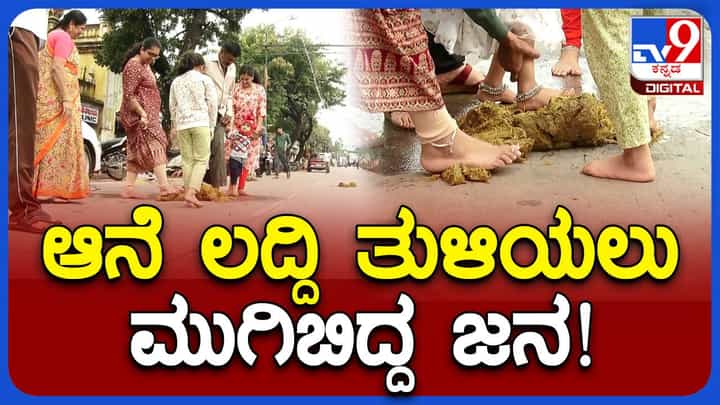 Mysore Dasara: ಆನೆ ಲದ್ದಿ ತುಳಿದರೆ ಒಳಿತಾಗುತ್ತದೆ ಎಂಬ ನಂಬಿಕೆ; ಅದನ್ನು ತುಳಿದು ಸಂಭ್ರಮಿಸಿದ ಮೈಸೂರು ನಿವಾಸಿಗಳು Mysore Dasara: ಆನೆ ಲದ್ದಿ ತುಳಿದರೆ ಒಳಿತಾಗುತ್ತದೆ ಎಂಬ ನಂಬಿಕೆ; ಅದನ್ನು ತುಳಿದು ಸಂಭ್ರಮಿಸಿದ ಮೈಸೂರು ನಿವಾಸಿಗಳು