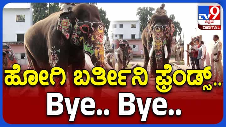 ದುಬಾರೆ ಶಿಬಿರದಿಂದ ನಾಡಿಗೆ ಬಂದು ದಸರಾ ಮಹೋತ್ಸವದಲ್ಲಿ ಪಾಲ್ಗೊಂಡು ರಂಜಿಸಿದ ಆನೆಗಳಿಗೆ ವಿದಾಯ ಹೇಳುವ ಸಮಯ ದುಬಾರೆ ಶಿಬಿರದಿಂದ ನಾಡಿಗೆ ಬಂದು ದಸರಾ ಮಹೋತ್ಸವದಲ್ಲಿ ಪಾಲ್ಗೊಂಡು ರಂಜಿಸಿದ ಆನೆಗಳಿಗೆ ವಿದಾಯ ಹೇಳುವ ಸಮಯ