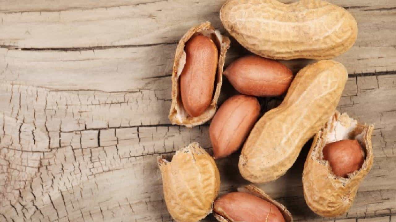 Peanut Benefit: ಈ ಚಳಿಗಾಲದಲ್ಲಿ ಶೇಂಗಾ ಬೀಜ ತಿನ್ನಿ; ಆರೋಗ್ಯ ಪ್ರಯೋಜನ ಪಡೆದುಕೊಳ್ಳಿ Peanut Benefit: ಈ ಚಳಿಗಾಲದಲ್ಲಿ ಶೇಂಗಾ ಬೀಜ ತಿನ್ನಿ; ಆರೋಗ್ಯ ಪ್ರಯೋಜನ ಪಡೆದುಕೊಳ್ಳಿ