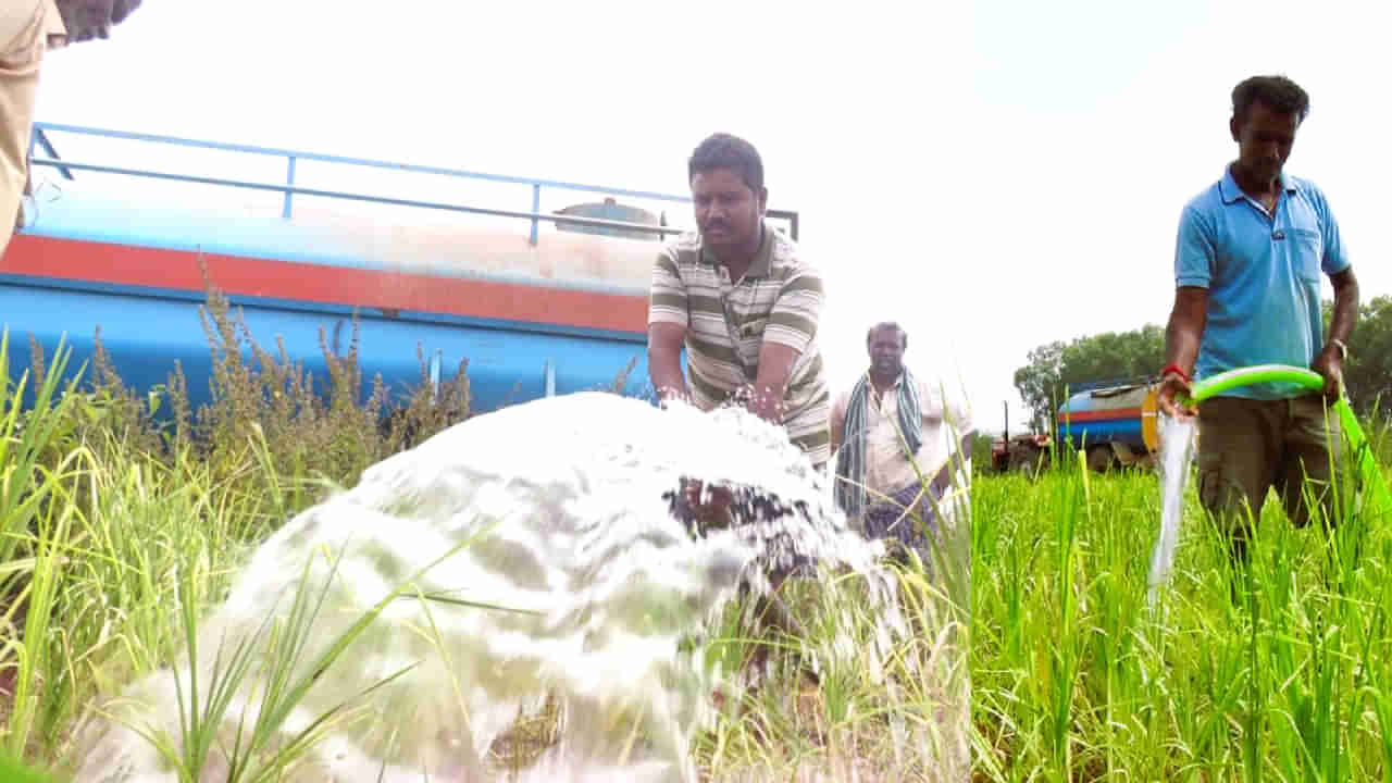 Tank irrigation: ಒಣಗುತಿರುವ ರಾಗಿ ಬೆಳೆ ಉಳಿಸಿಕೊಳ್ಳಲು ದುಬಾರಿ ಟ್ಯಾಂಕರ್ ನೀರಿಗೆ ಮೊರೆ! ಚಿಕ್ಕಬಳ್ಳಾಪುರ ರೈತರ ಪಾಡು ಯಾರಿಗೂ ಬೇಡ