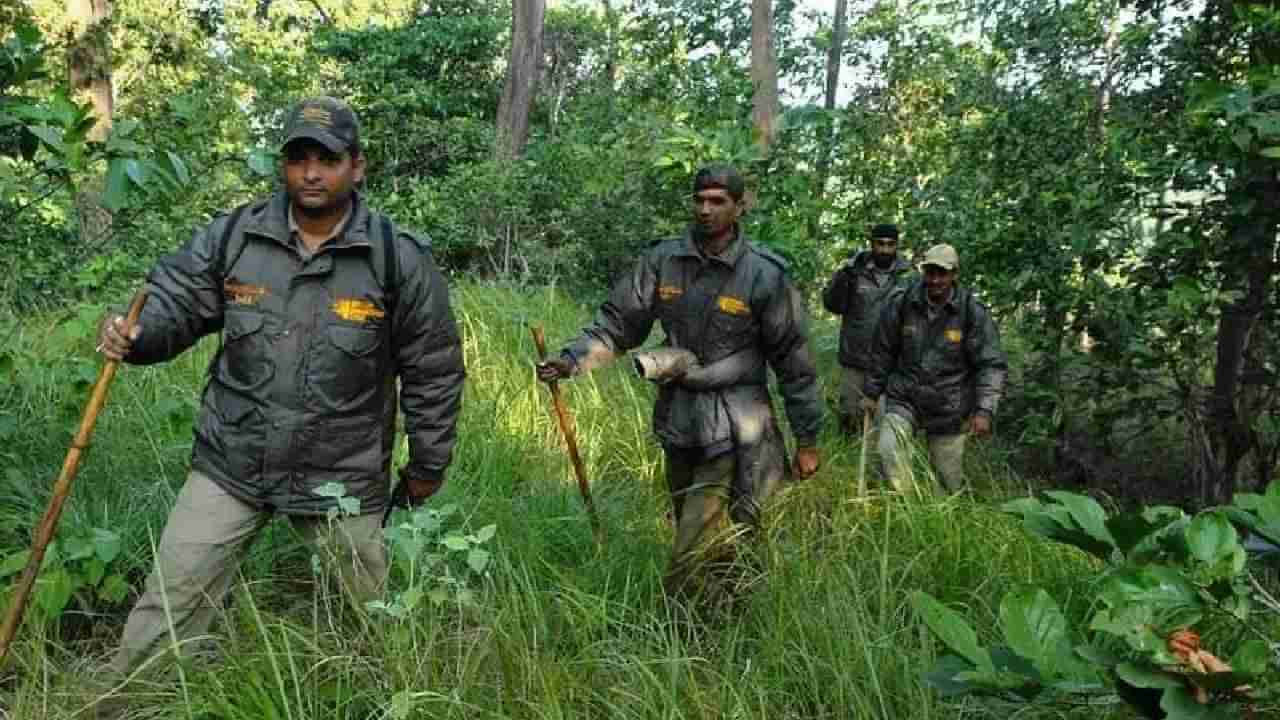 ಅರಣ್ಯ ಇಲಾಖೆಯಿಂದ ವಿನೂತನ ಹೆಜ್ಜೆ: ವನ್ಯಜೀವಿ ಅಪರಾಧ ತಡೆಯಲು ಡಿಜಿಟಲ್ ಅಸ್ತ್ರ