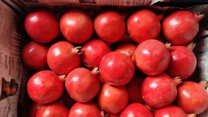 ಮೈಸೂರು: ಲಾರಿ ಟಾರ್ಪಲ್ ತೆಗೆದು ಹಣ್ಣು ಕದ್ದು ಪರಾರಿ