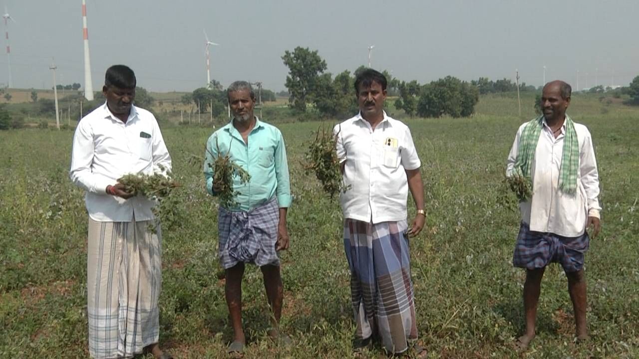 ಗದಗ: ಭೀಕರ ಬರಕ್ಕೆ ಬರಡಾದ ಅನ್ನದಾತನ ಬದುಕು! ಬರಗಾಲ ಘೋಷಣೆ ಮಾಡಿ ಸರ್ಕಾರ ಗಪ್ ಚುಪ್; ನೇಗಿಲಯೋಗಿ ವಿಲವಿಲ