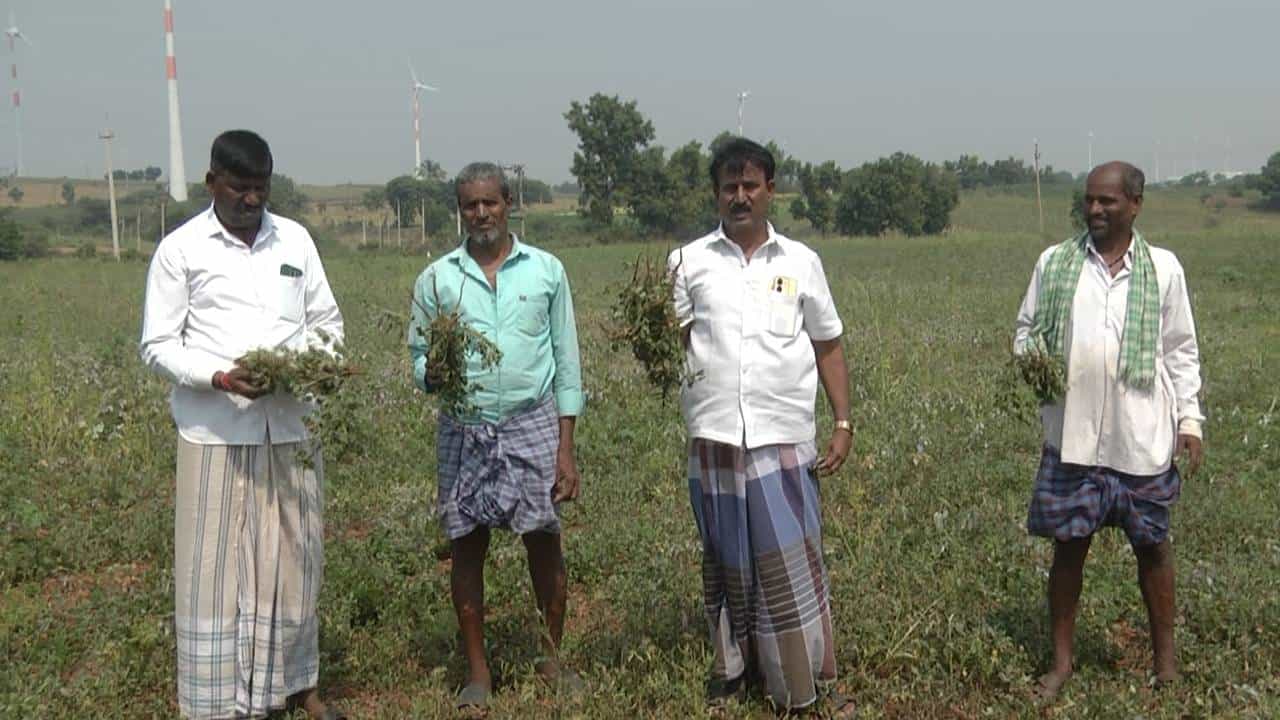 ಗದಗ: ಭೀಕರ ಬರಕ್ಕೆ ಬರಡಾದ ಅನ್ನದಾತನ ಬದುಕು! ಬರಗಾಲ ಘೋಷಣೆ ಮಾಡಿ ಸರ್ಕಾರ ಗಪ್ ಚುಪ್; ನೇಗಿಲಯೋಗಿ ವಿಲವಿಲ ಗದಗ: ಭೀಕರ ಬರಕ್ಕೆ ಬರಡಾದ ಅನ್ನದಾತನ ಬದುಕು! ಬರಗಾಲ ಘೋಷಣೆ ಮಾಡಿ ಸರ್ಕಾರ ಗಪ್ ಚುಪ್; ನೇಗಿಲಯೋಗಿ ವಿಲವಿಲ