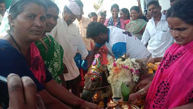 ಗದಗ: ಮಳೆಗಾಗಿ ಕತ್ತೆಗಳ‌ ಅದ್ಧೂರಿ ಮದುವೆ; ಇಲ್ಲಿದೆ ವಿಡಿಯೋ