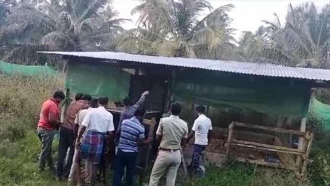 ಹಾಸನ: ಕೋಳಿ ಶೆಡ್​ಗೆ ನುಗ್ಗಿ 40ಕ್ಕೂ ಹೆಚ್ಚು ಕೋಳಿ ಬಲಿ ಪಡೆದ ಚಿರತೆ ಸೆರೆ
