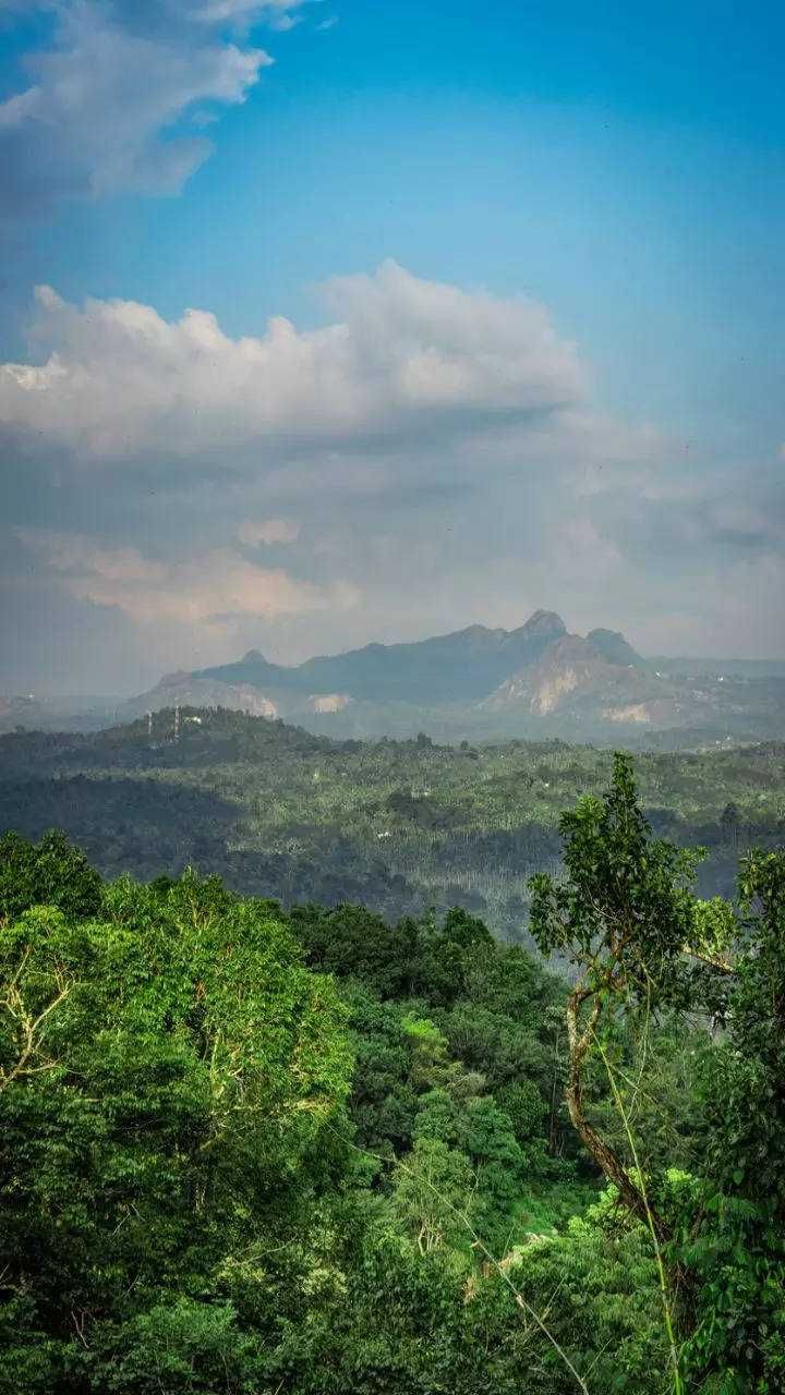 Hill stations in South India that you must visit (1)