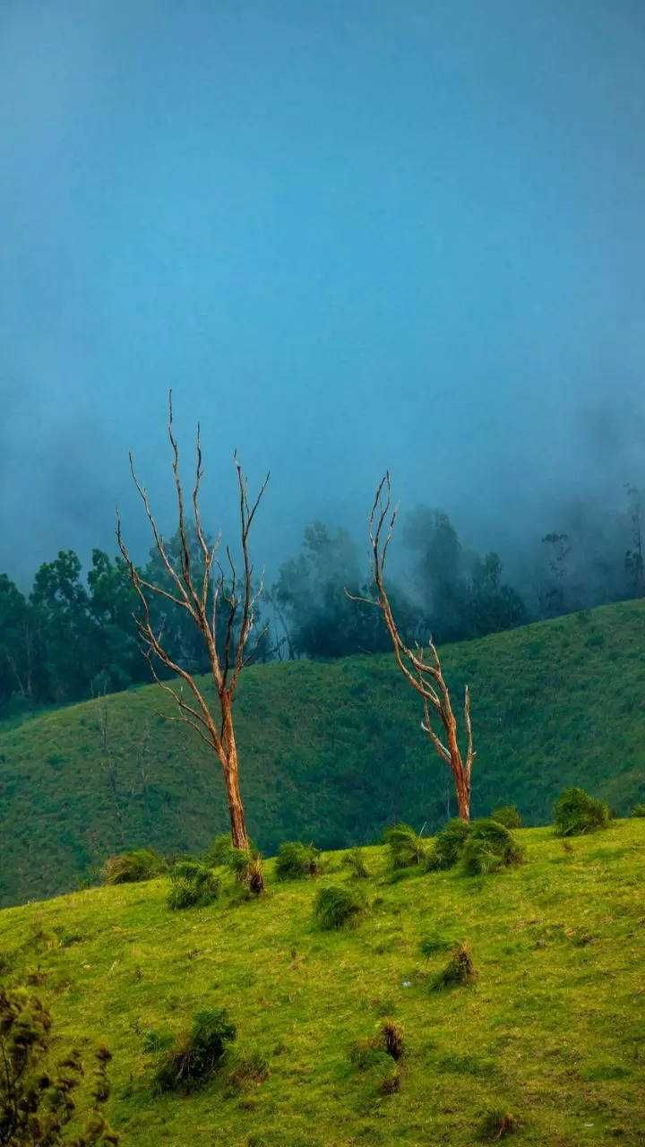 Hill stations in South India that you must visit (2)