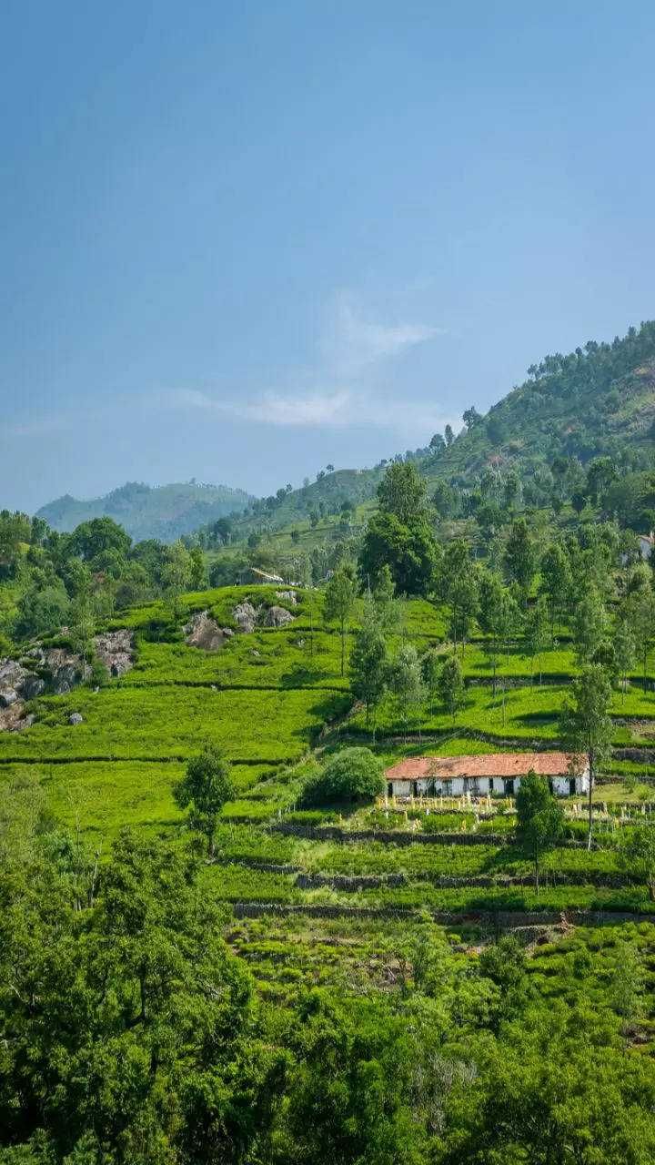 Hill stations in South India that you must visit (4)
