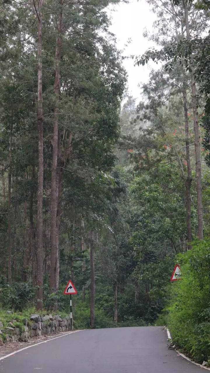 Hill stations in South India that you must visit (6)
