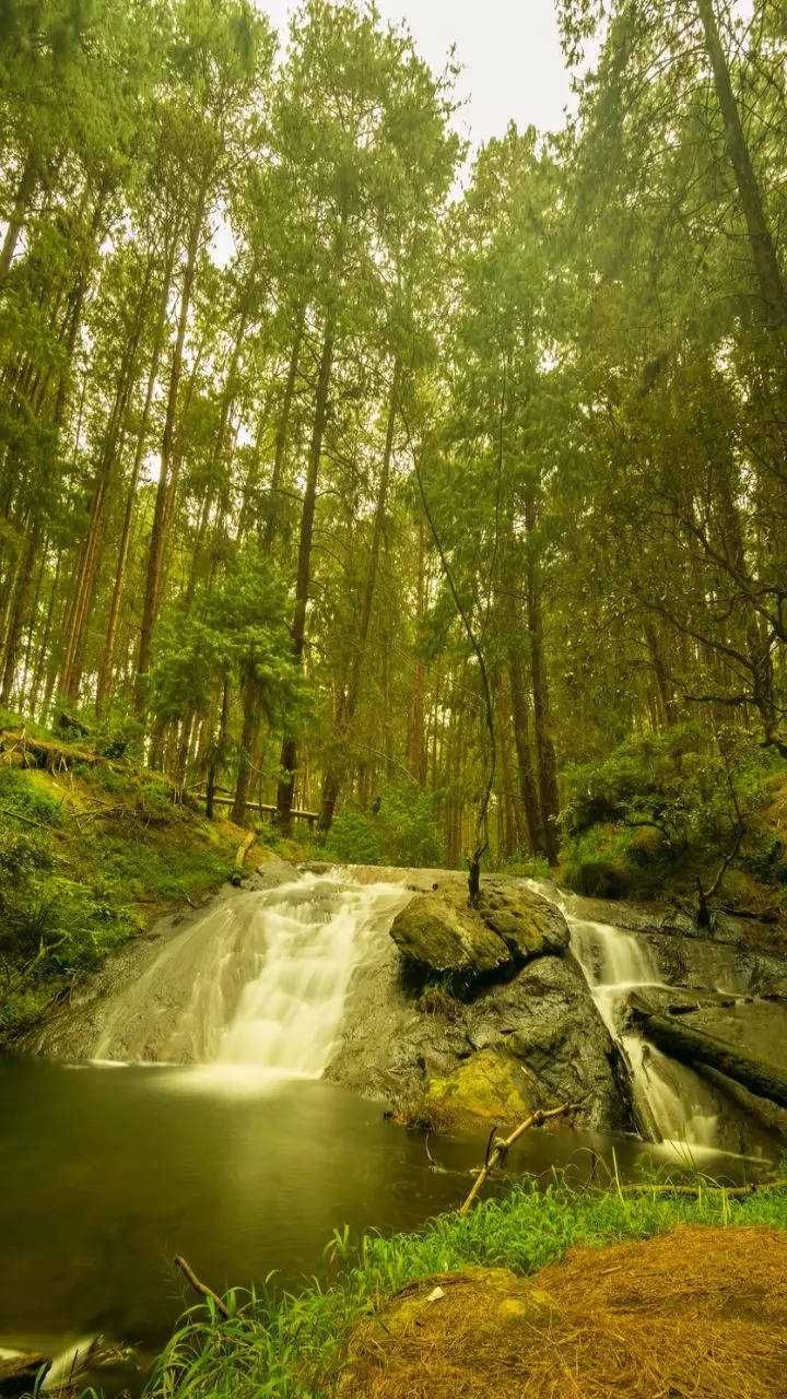 Hill stations in South India that you must visit (8)