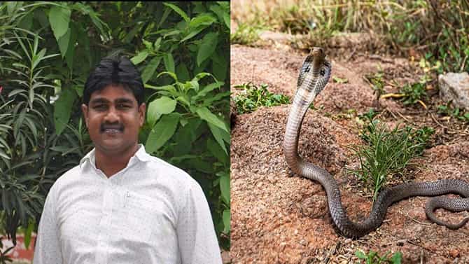 ಹಾವಿನಿಂದ ಕಚ್ಚಿಸಿ, ಗಂಡನನ್ನು ಉಸಿರಾಡದಂತೆ ಮಾಡಿದಳು ಹೆಂಡತಿ