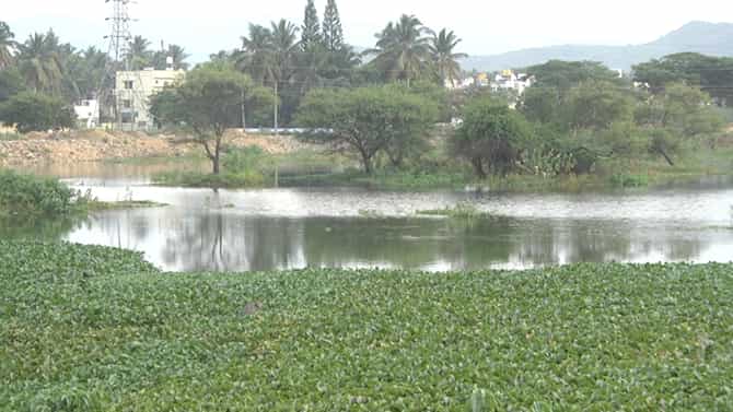 ಕೊಳ್ಳೆಗಾಲ: 10 ಕೋಟಿ ವೆಚ್ಚದ ಕೆರೆ ಅಭಿವೃದ್ಧಿ ಕಾರ್ಯಕ್ಕೆ ಬಿತ್ತು ಬ್ರೇಕ್