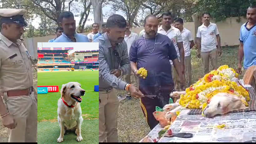3 ತಿಂಗಳ ಪಪ್ಪಿ ಶಿಸ್ತಿನ ಪೊಲೀಸ್ ಇಲಾಖೆ ಸೇರಿ 8 ವರ್ಷ ಕಾಲ ಗತ್ತುಗಮ್ಮತ್ತಿನಿಂದ ಸೇವೆ ಸಲ್ಲಿಸಿ ಮೃತಪಟ್ಟ ಲೈಕಾ! ಪೊಲೀಸ್ ಶ್ವಾನಗಳ ಜೊತೆ ಒಂದು ವಾಕ್!