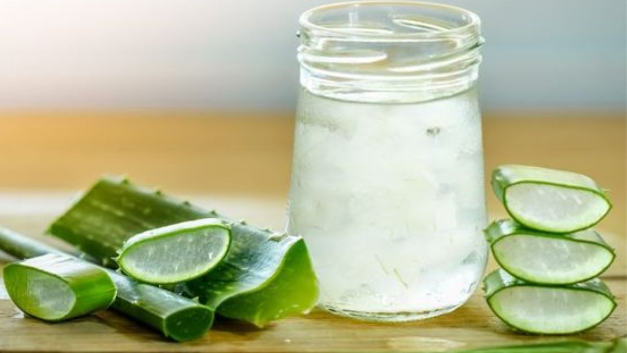Aloe vera juice: ಅಲೋವೆರಾ ರಸದಲ್ಲಿದೆ ಆರೋಗ್ಯ ಪ್ರಯೋಜನ, ಮನೆಯಲ್ಲಿ ಜ್ಯೂಸ್ ಹೇಗೆ ತಯಾರಿಸುವುದು? Aloe vera juice: ಅಲೋವೆರಾ ರಸದಲ್ಲಿದೆ ಆರೋಗ್ಯ ಪ್ರಯೋಜನ, ಮನೆಯಲ್ಲಿ ಜ್ಯೂಸ್ ಹೇಗೆ ತಯಾರಿಸುವುದು?