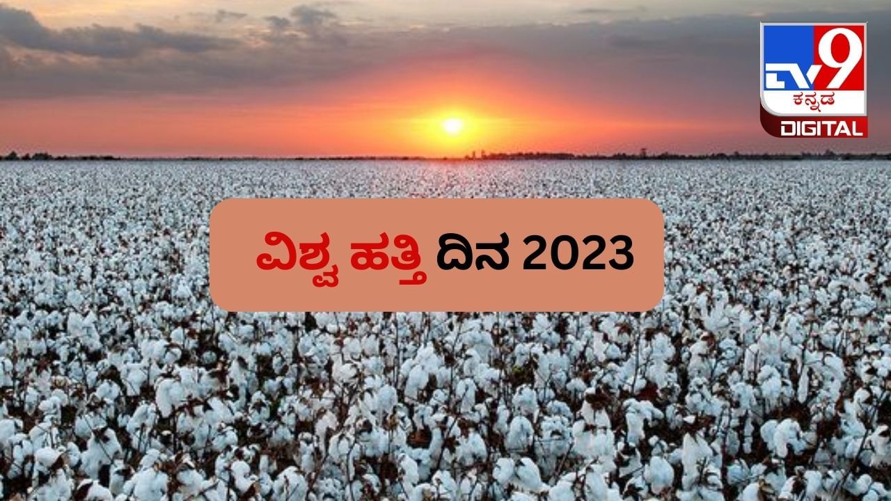 World Cotton Day 2023: ವಿಶ್ವ ಹತ್ತಿ ದಿನವನ್ನು ಏಕೆ ಆಚರಿಸಲಾಗುತ್ತದೆ? ಈ ಆಚರಣೆಯ ಹಿನ್ನೆಲೆ  ಮಹತ್ವ ಇಲ್ಲಿದೆ 