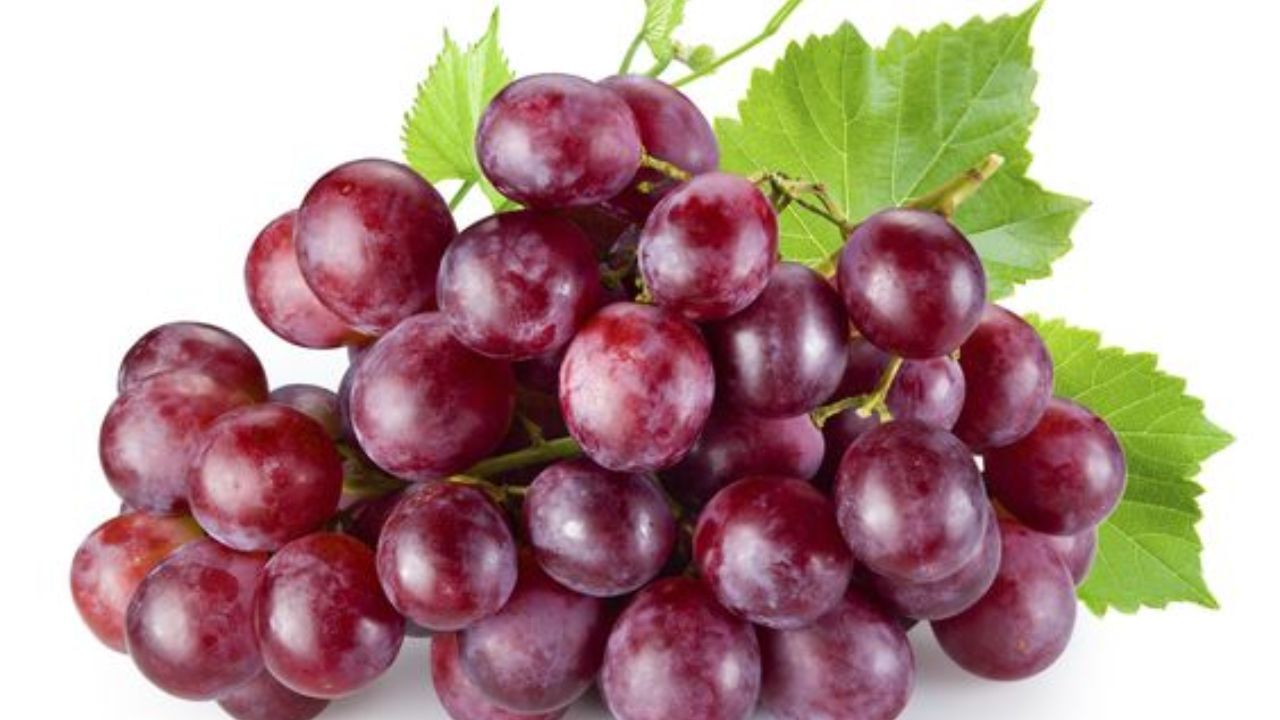 Red Grapes Benefits: ಕಣ್ಣಿನ ಆರೋಗ್ಯ, ಅಧಿಕ ರಕ್ತದೊತ್ತಡ  ನಿಯಂತ್ರಣಕ್ಕೆ, ಕೆಂಪು ದ್ರಾಕ್ಷಿ ಉತ್ತಮ