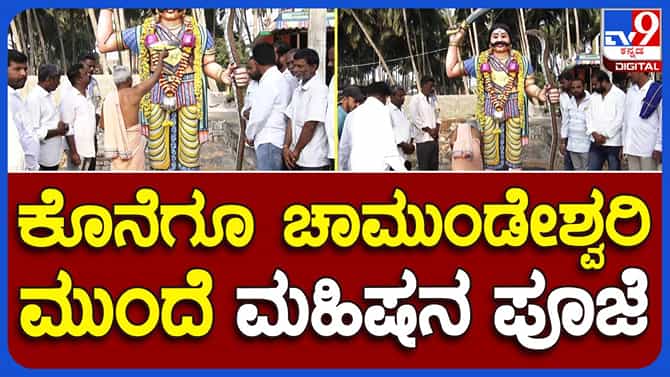 ಮಂಡ್ಯದ ಮಂಗಲ ಗ್ರಾಮದಲ್ಲಿ ಸಮಾನ ಮನಸ್ಕರ ಒಕ್ಕೂಟದಿಂದ ಮಹಿಷಾಸುರನಿಗೆ ಪೂಜೆ